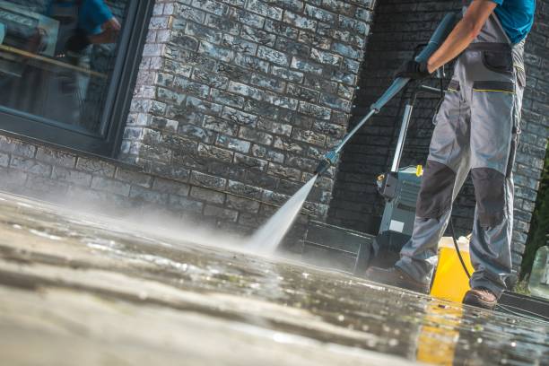 Best House Exterior Washing  in Leo Cedarville, IN