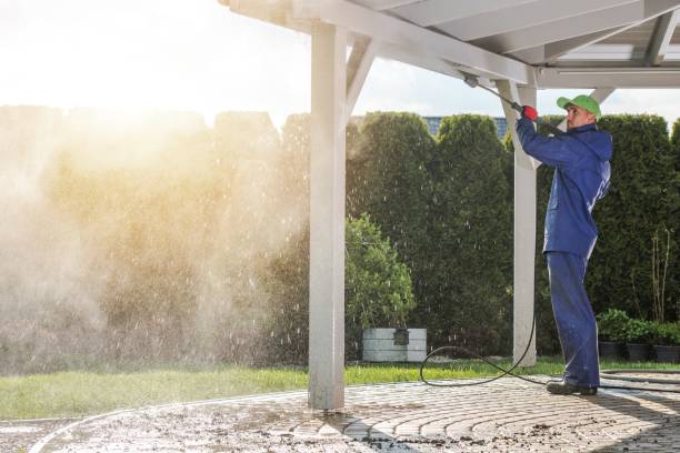 Professional Pressure Washing Services in Leo Cedarville, IN