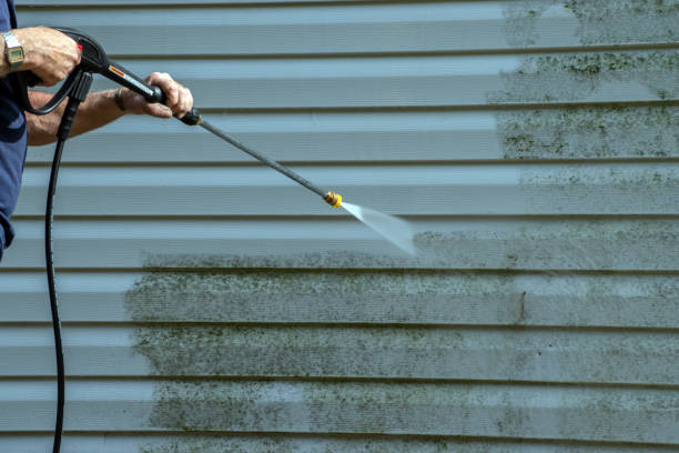 Best Pool Deck Cleaning  in Leo Cedarville, IN
