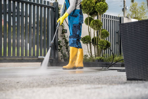 Animal Enclosure Cleaning in Leo Cedarville, IN